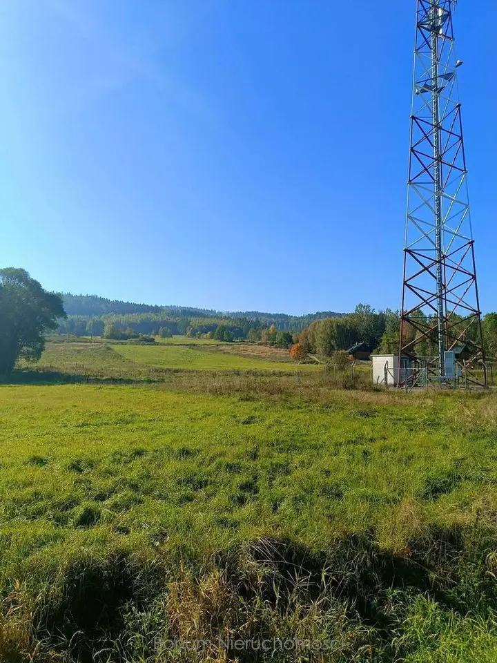 Działka budowlana 1,54 ha, Trzebieszowice