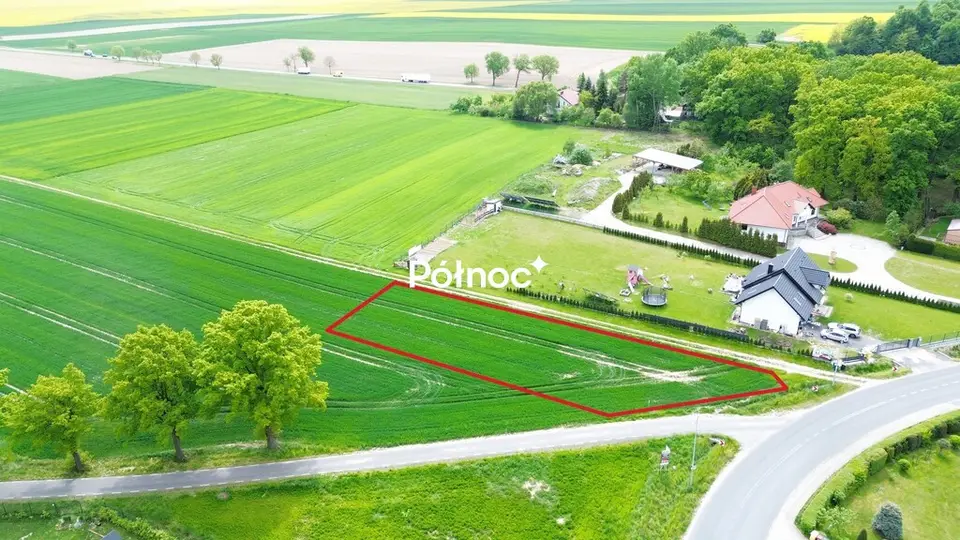 Zdjęcie 2
