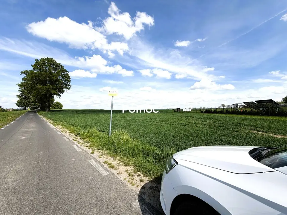 Zdjęcie 6