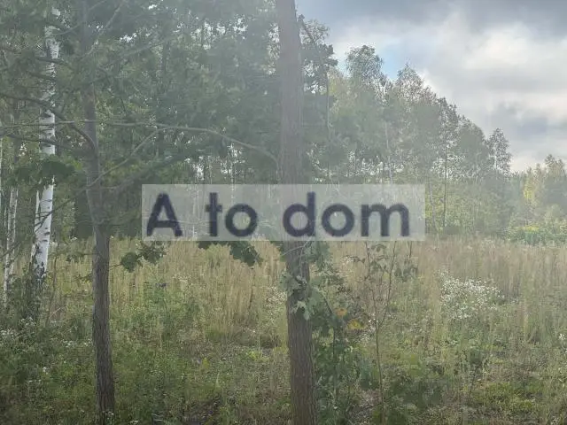 Zdjęcie 2