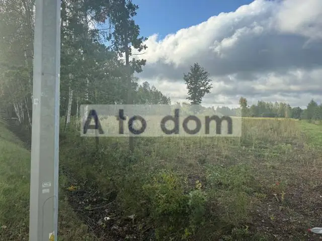 Zdjęcie 4