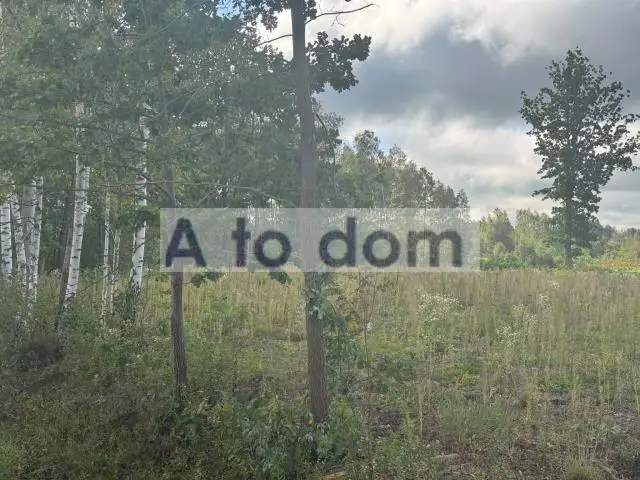 Zdjęcie 5