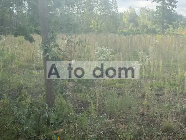Zdjęcie 6