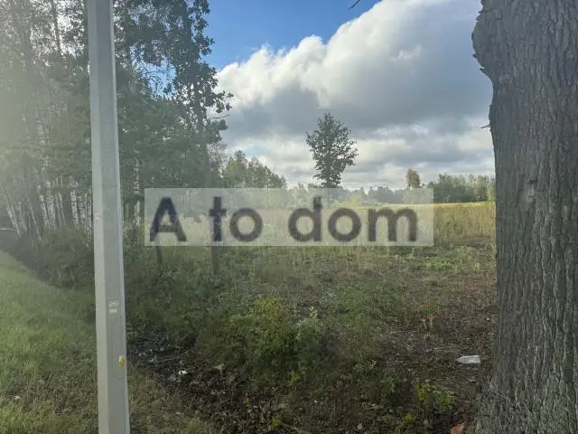 Zdjęcie 8