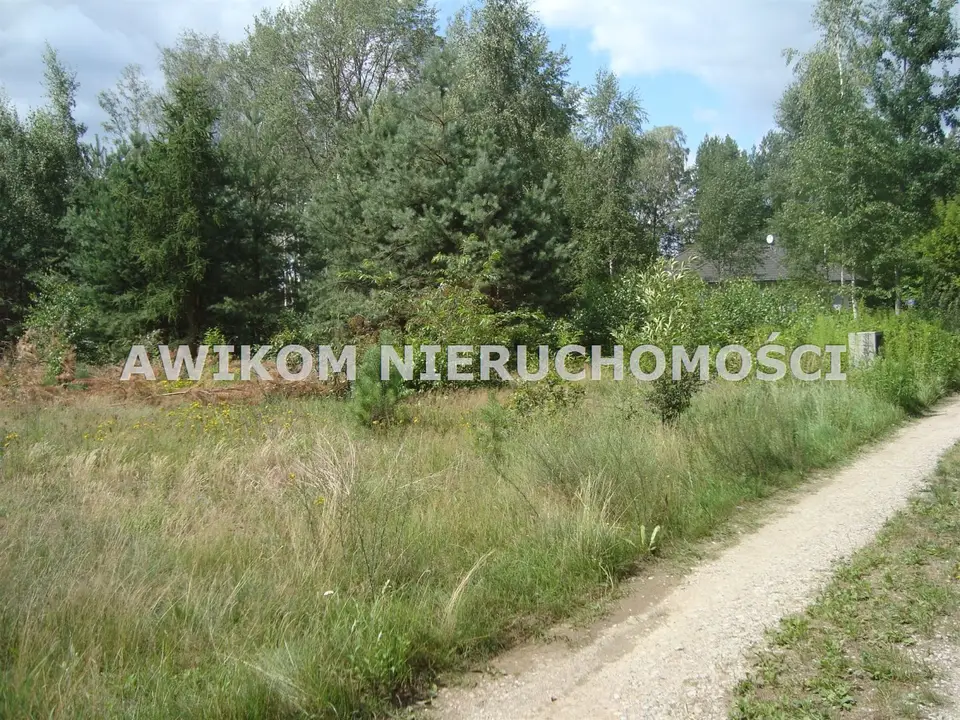 Zdjęcie 5