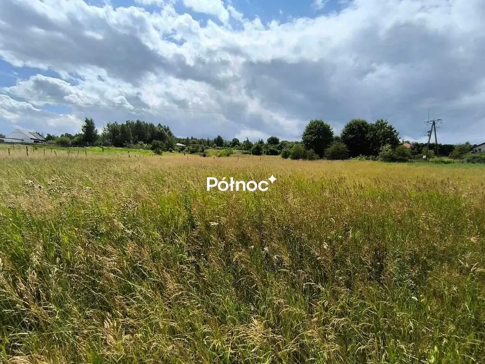 Zdjęcie 2