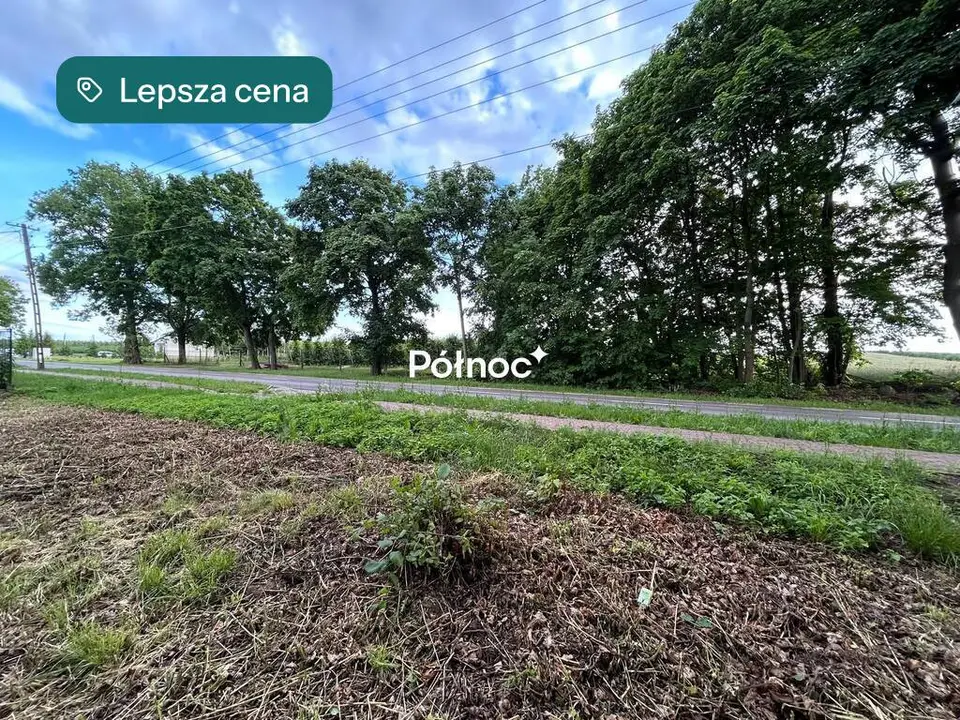 Zdjęcie 8