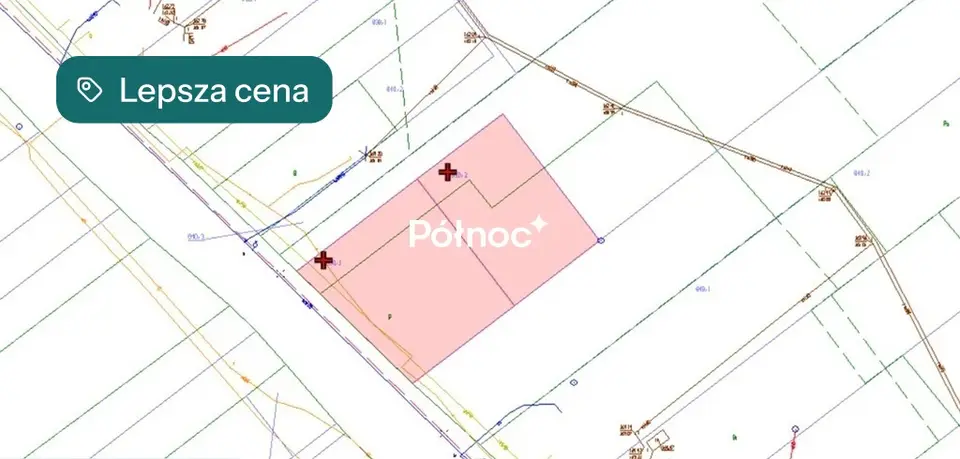 Zdjęcie 11