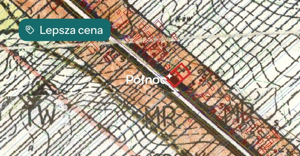 Zdjęcie 12