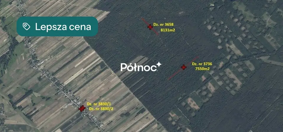 Zdjęcie 13