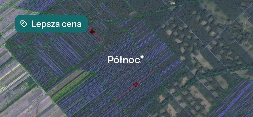 Zdjęcie 14