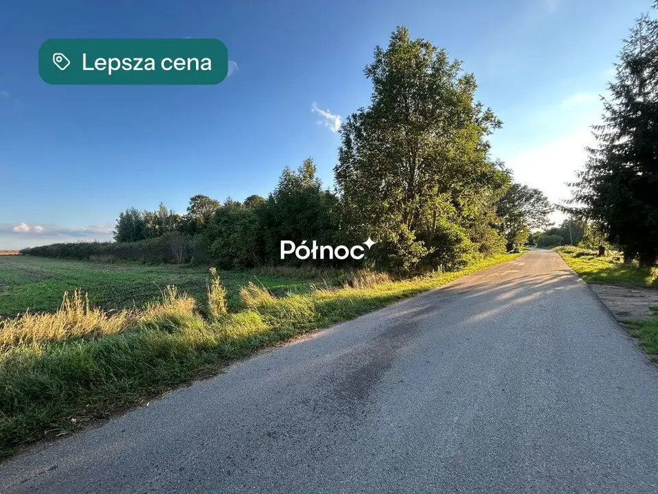 Zdjęcie 3