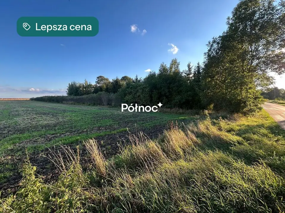 Zdjęcie 4