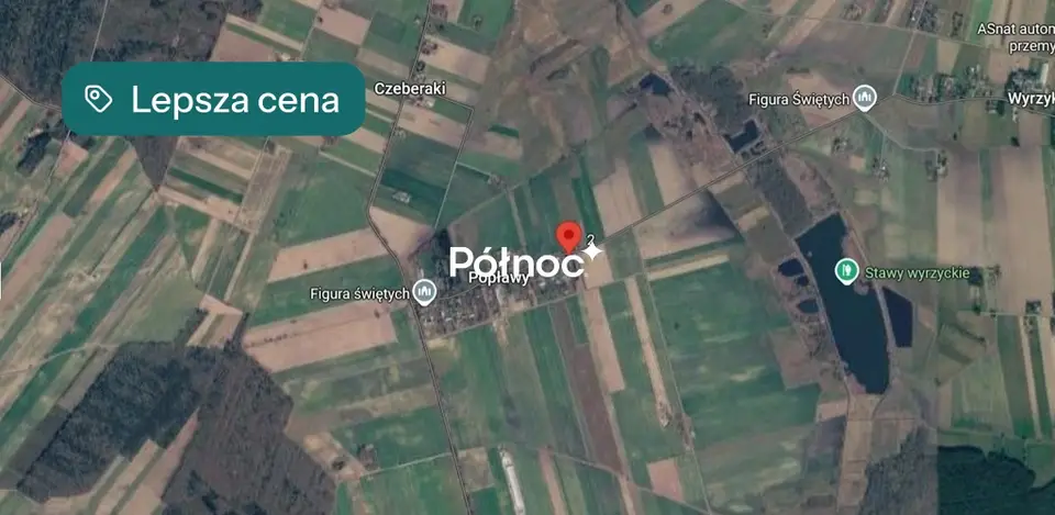 Zdjęcie 6