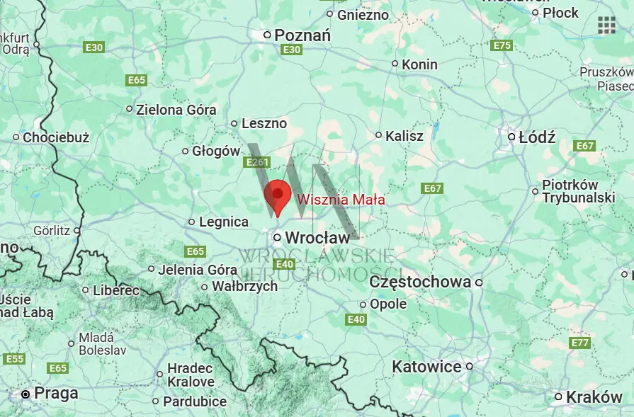 Zdjęcie 7