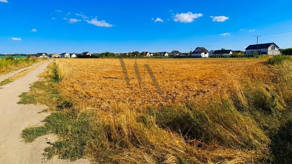 Zdjęcie 3