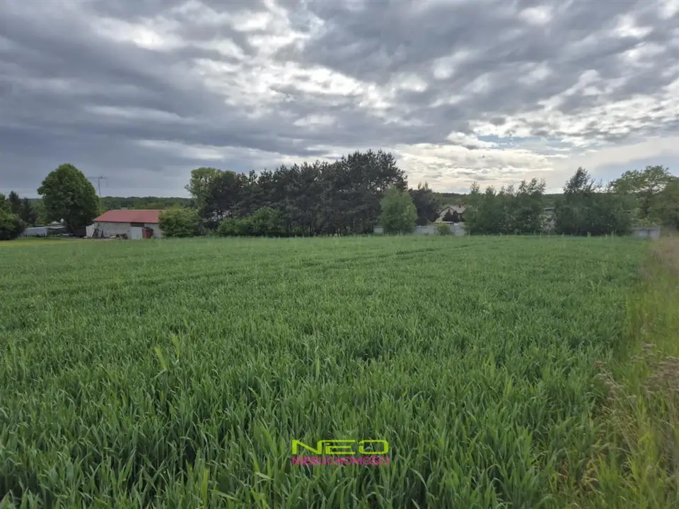 Zdjęcie 3