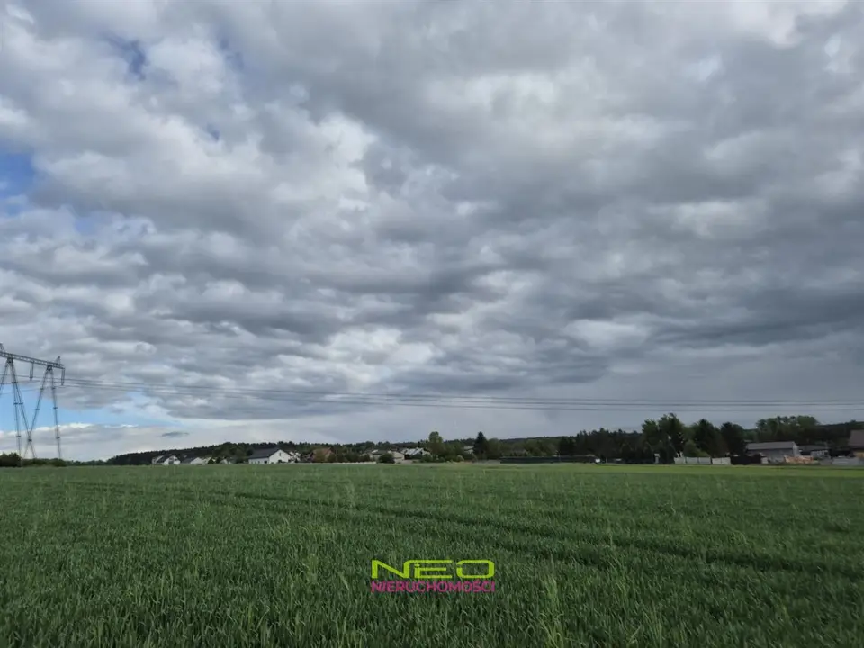 Zdjęcie 6