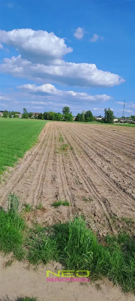Zdjęcie 2