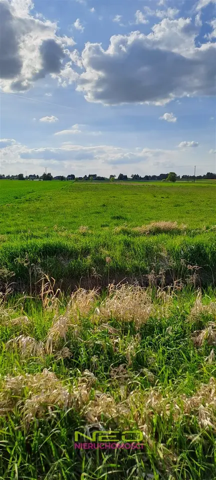 Zdjęcie 4