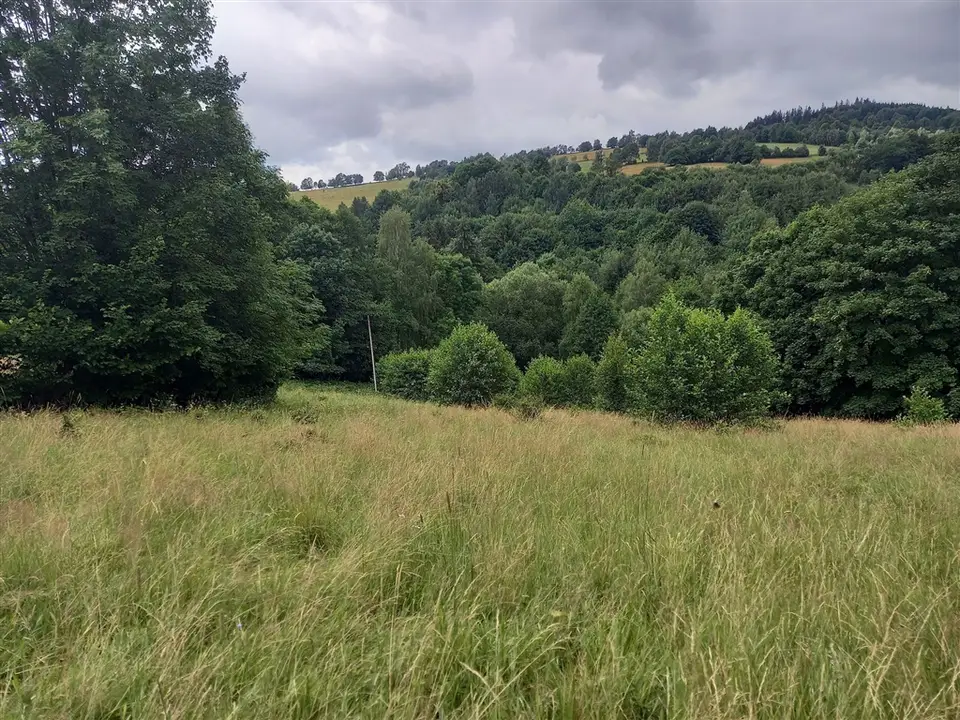 Działka budowlana i rolna 6 340 m², Walim