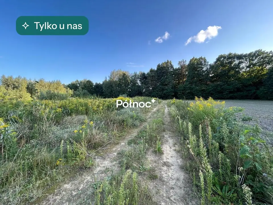 Działka budowlana i inwestycyjna 822 m², Łazy