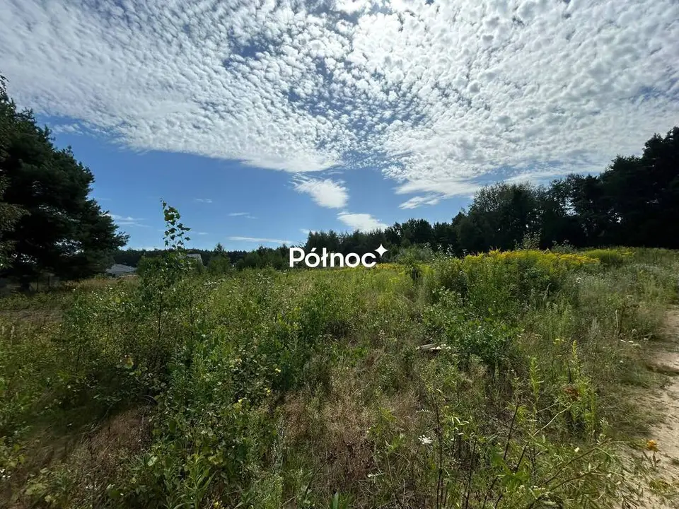 Zdjęcie 4
