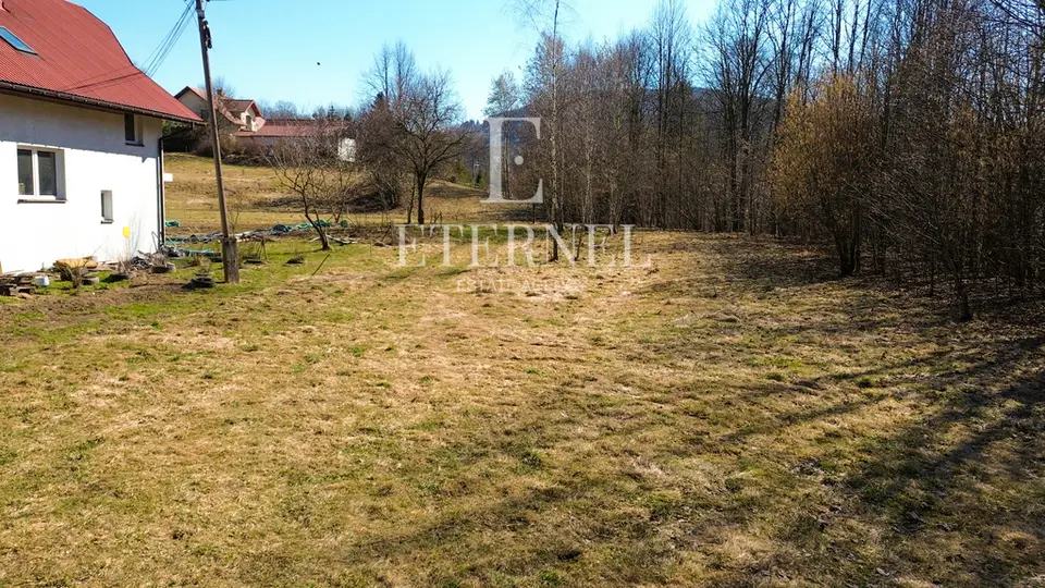 Zdjęcie 7