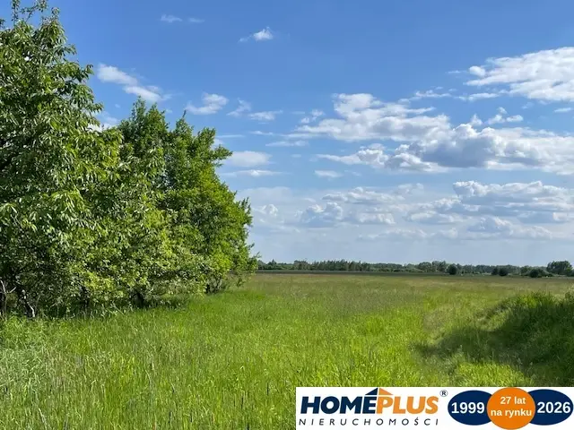 Zdjęcie 15