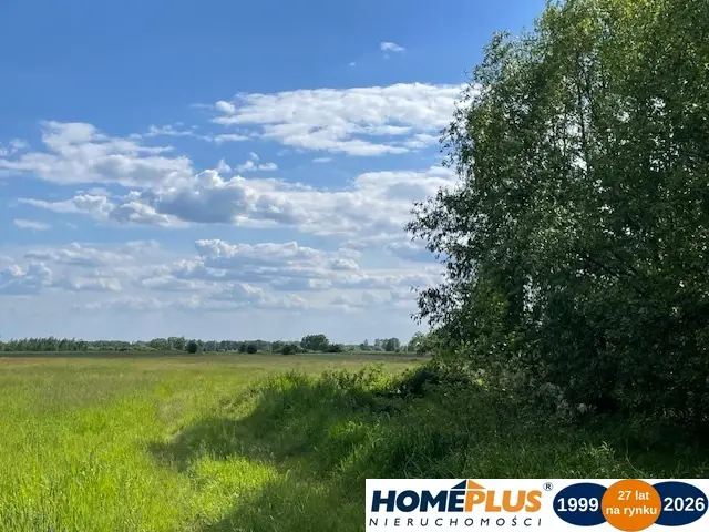 Zdjęcie 16