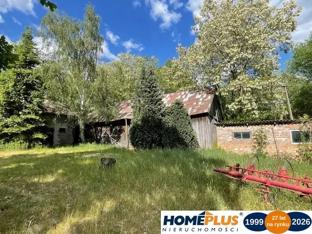 Zdjęcie 19