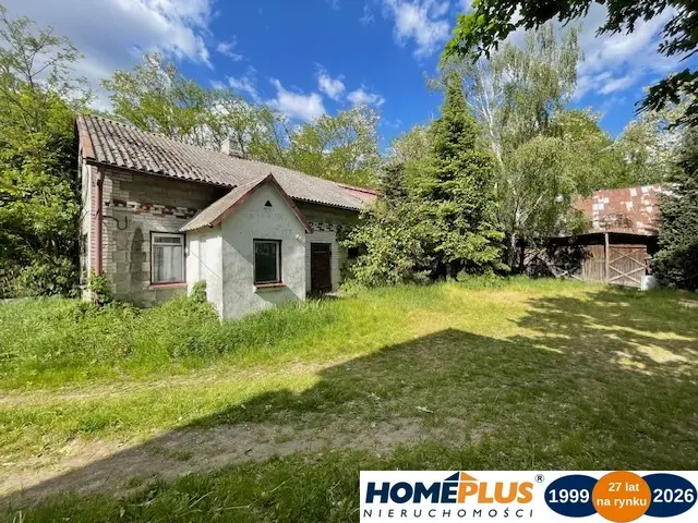 Zdjęcie 20