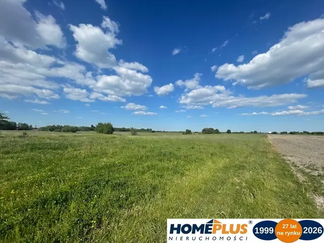 Zdjęcie 23
