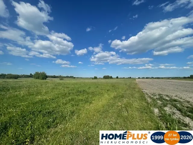 Zdjęcie 24