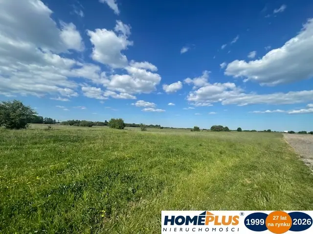 Zdjęcie 25