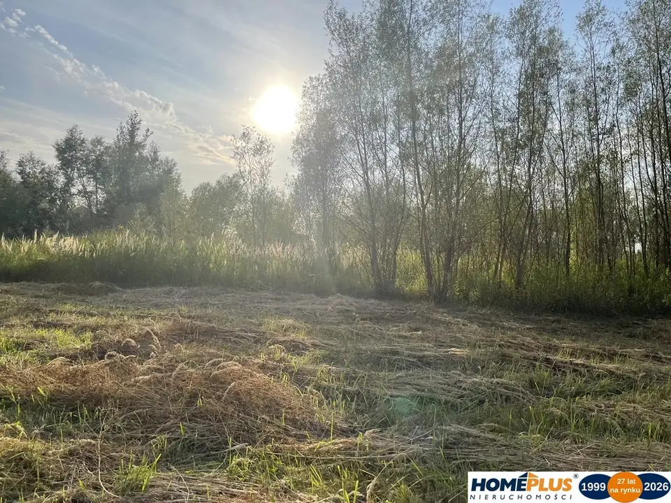 Działka rolna 2,5 ha, Dąbrówka