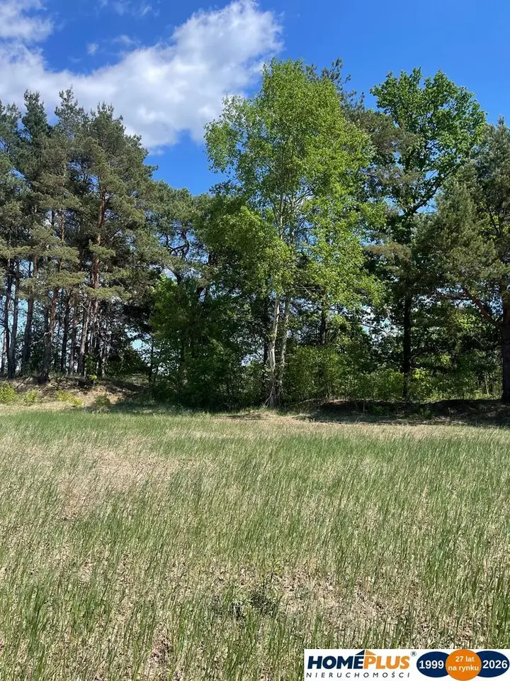 Zdjęcie 4