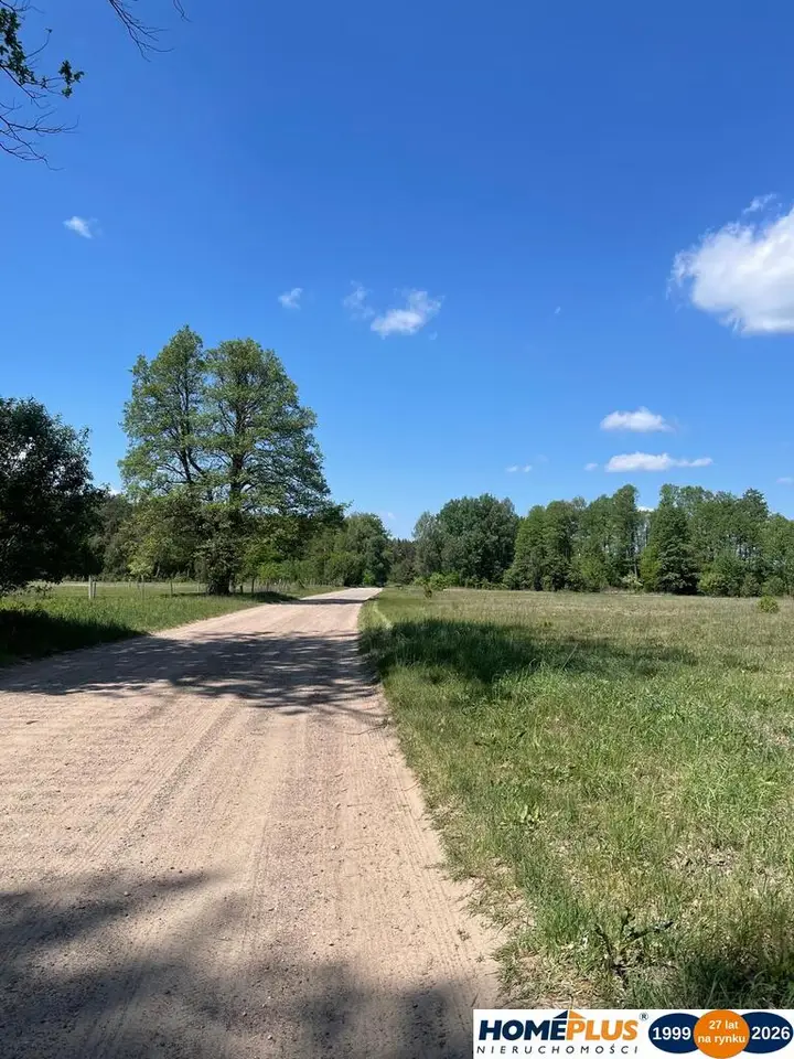 Zdjęcie 11