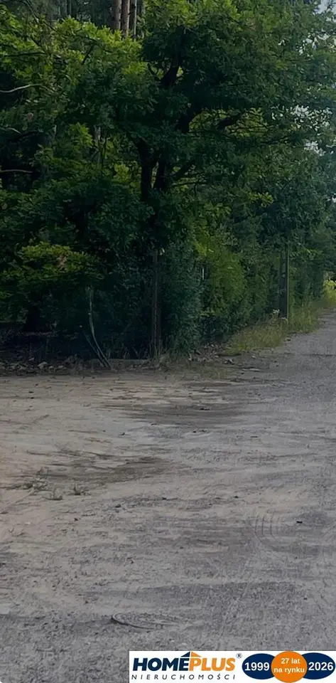Zdjęcie 3