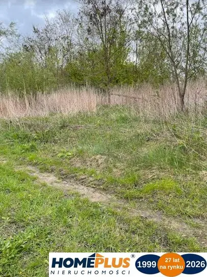 Zdjęcie 3