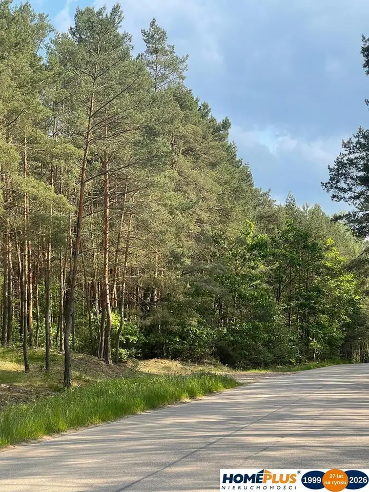Zdjęcie 9