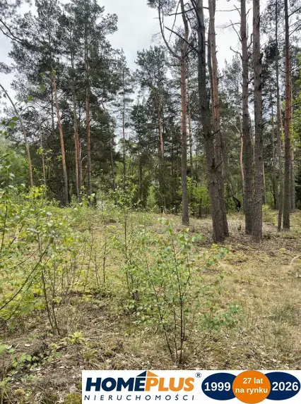 Zdjęcie 5