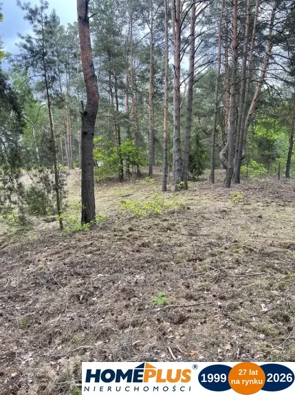 Zdjęcie 6