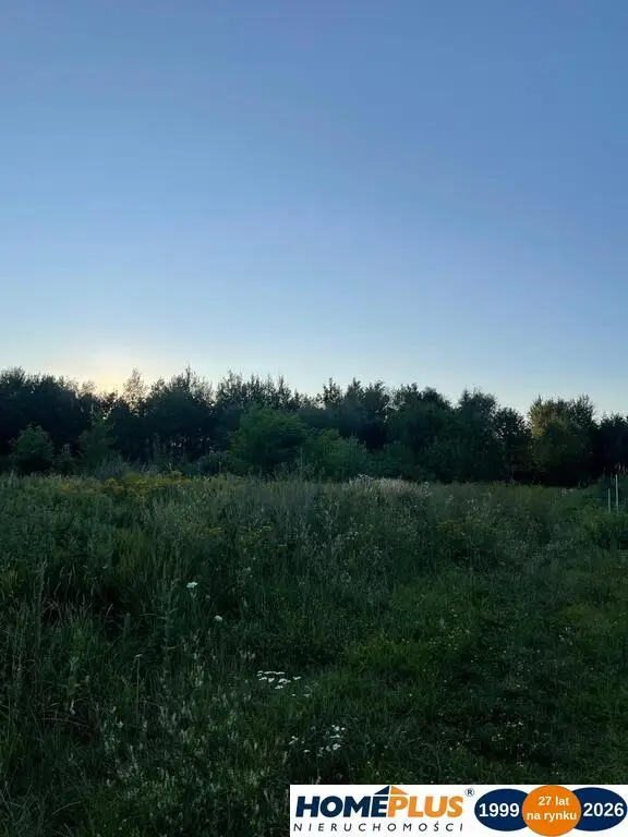Zdjęcie 4