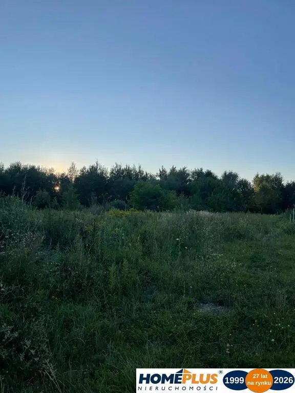 Zdjęcie 6