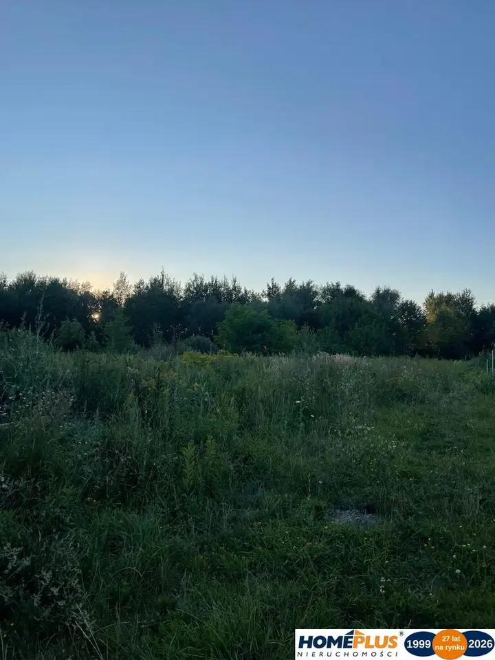 Zdjęcie 6