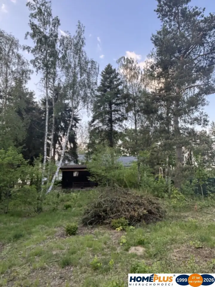 Zdjęcie 5