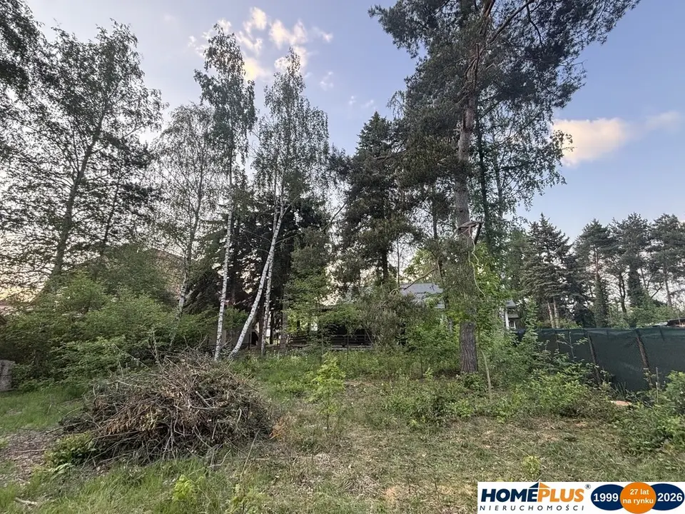 Zdjęcie 7