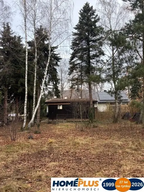 Zdjęcie 21