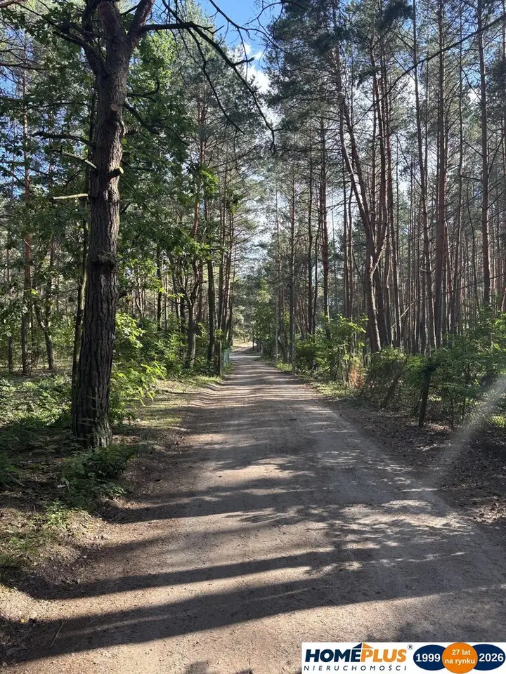 Zdjęcie 2